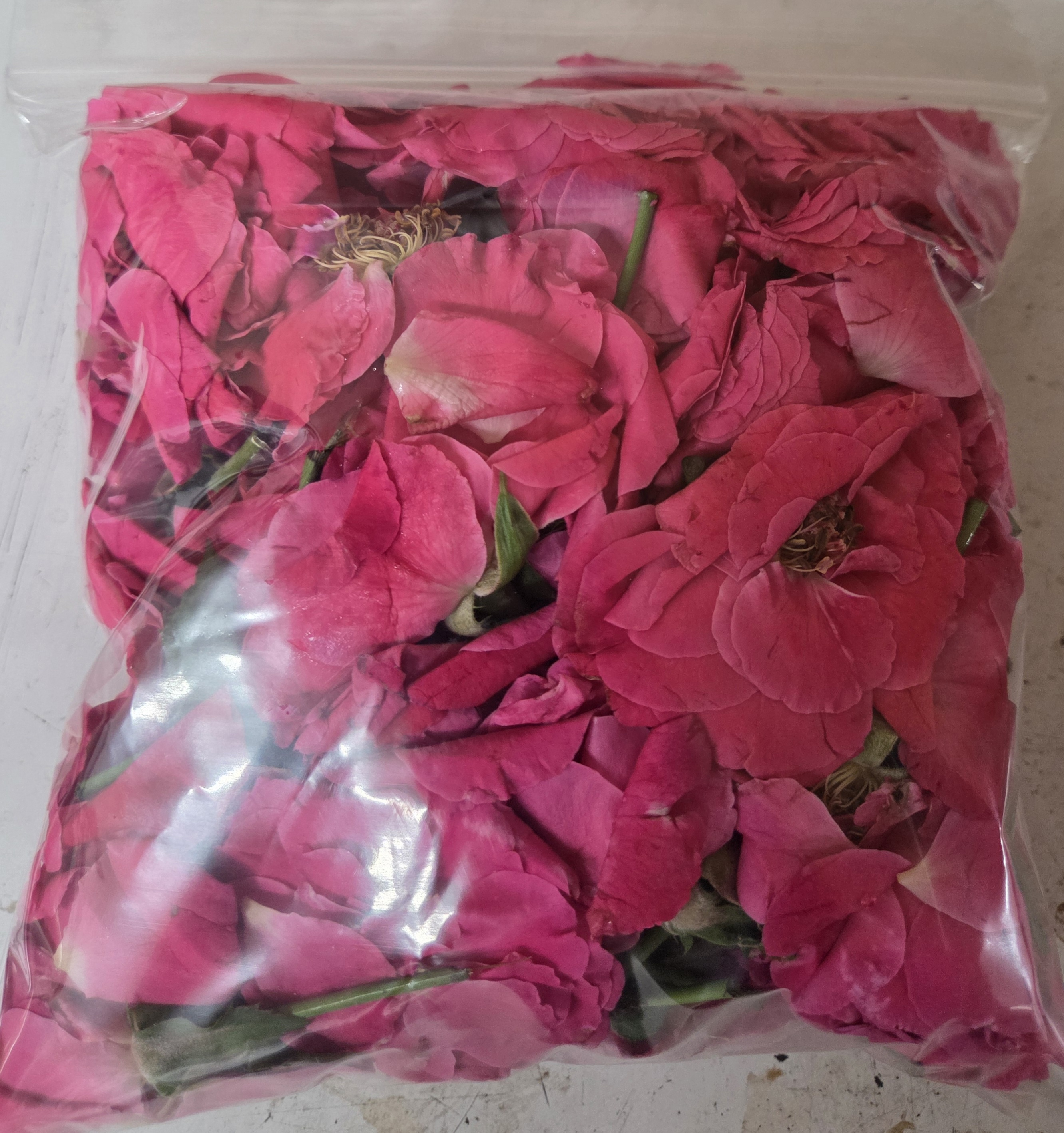 Paneer Roses