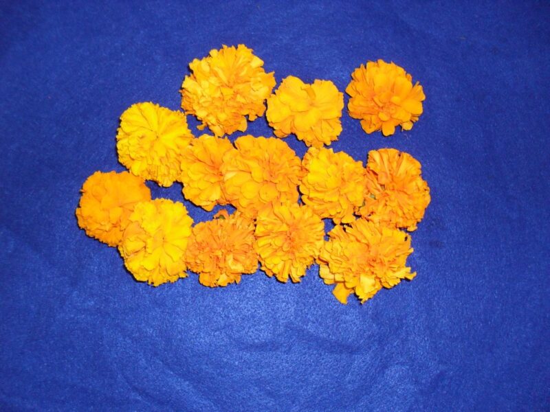 Marigold Loose flowers