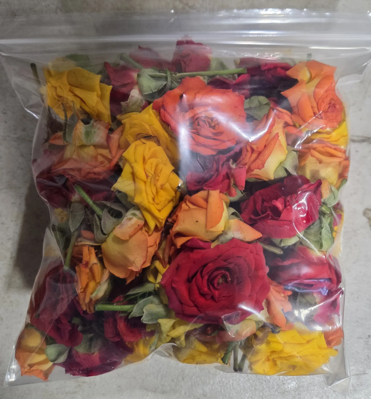 Button Up Roses Button Roses | Balaji Flowers USA