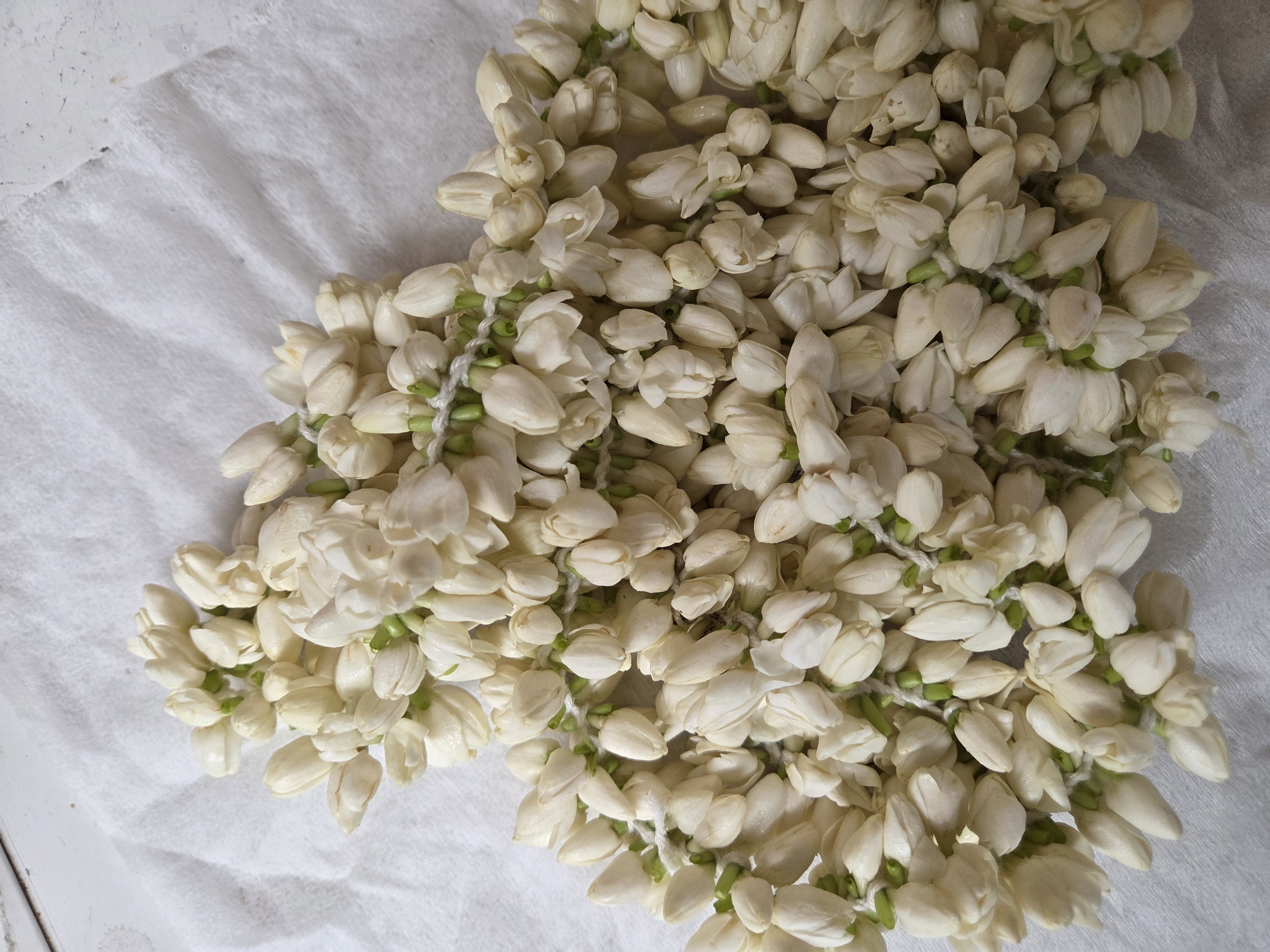 Jasmine String Box
