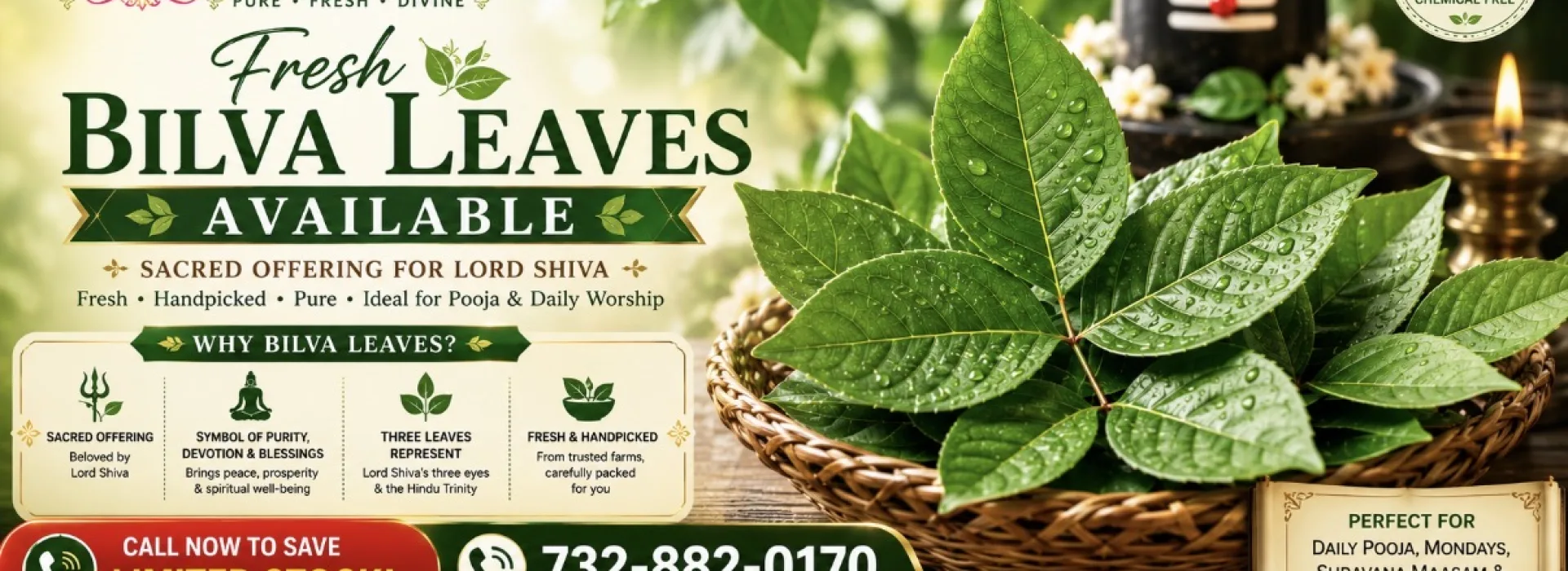 Balaji Flowers USA